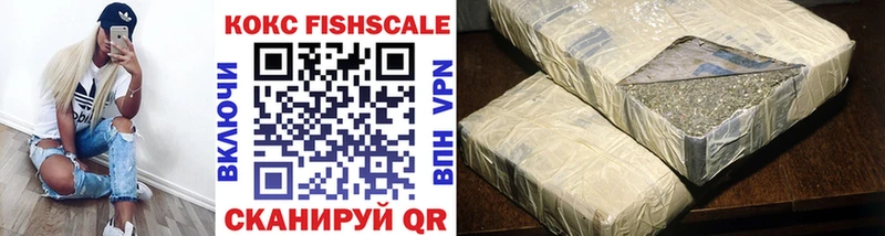 купить наркоту  Щигры  Cocaine Fish Scale 
