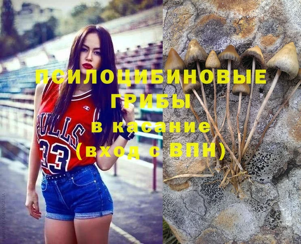 амфетамин Алексеевка