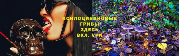 молекула духа Алзамай